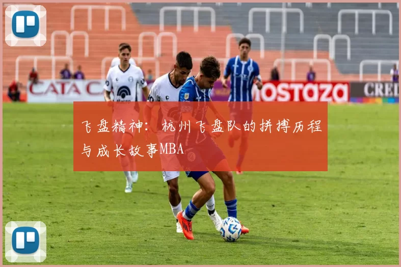 飞盘精神：杭州飞盘队的拼搏历程与成长故事MBA