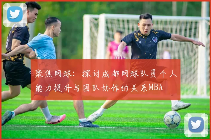 聚焦网球：探讨成都网球队员个人能力提升与团队协作的关系MBA