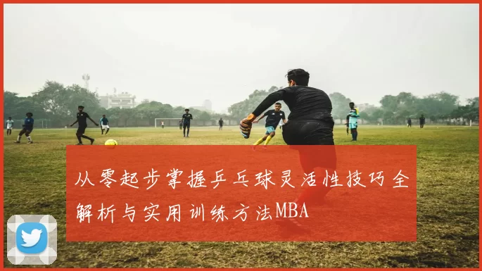 从零起步掌握乒乓球灵活性技巧全解析与实用训练方法MBA