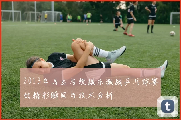 2013年马龙与樊振东激战乒乓球赛的精彩瞬间与技术分析