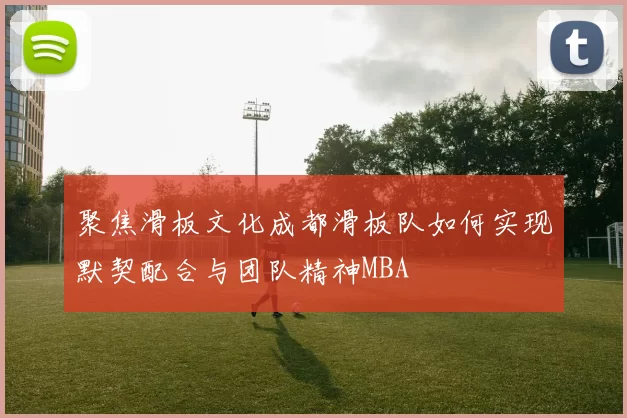 聚焦滑板文化成都滑板队如何实现默契配合与团队精神MBA