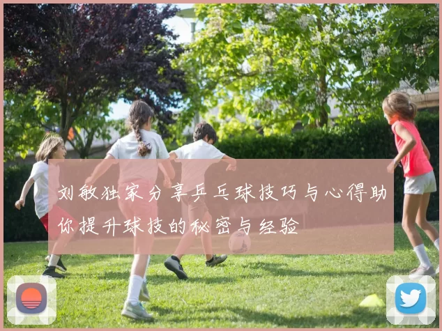 刘敏独家分享乒乓球技巧与心得助你提升球技的秘密与经验